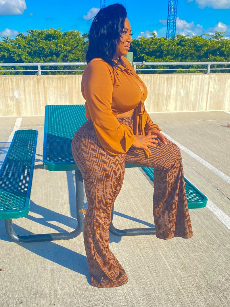 Plus Size Brown Crops & Capris.